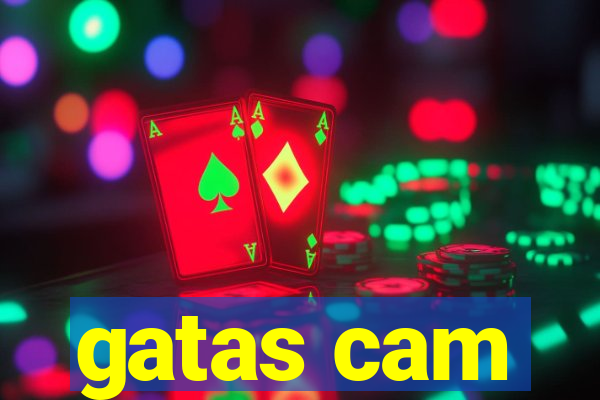 gatas cam